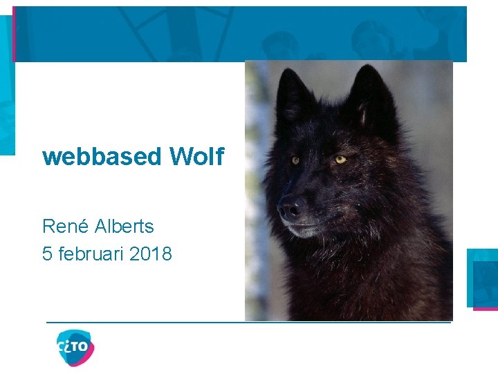 webbased Wolf René Alberts 5 februari 2018 