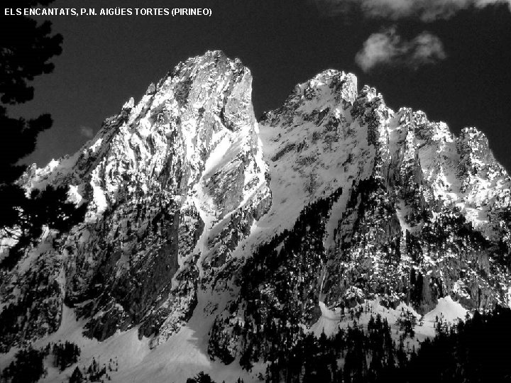 ELS ENCANTATS, P. N. AIGÜES TORTES (PIRINEO) 