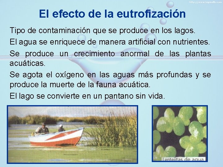 El efecto de la eutrofización Tipo de contaminación que se produce en los lagos.