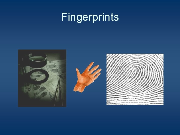 Fingerprints 