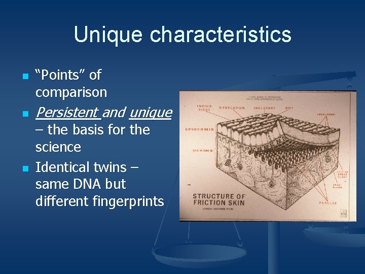Unique characteristics n n n “Points” of comparison Persistent and unique – the basis