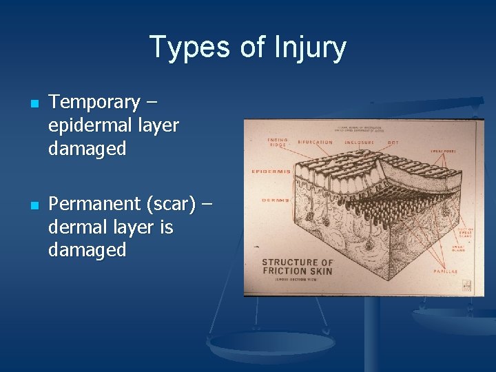 Types of Injury n n Temporary – epidermal layer damaged Permanent (scar) – dermal