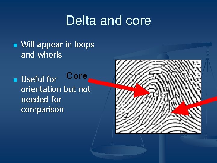 Delta and core n n Will appear in loops and whorls Useful for orientation