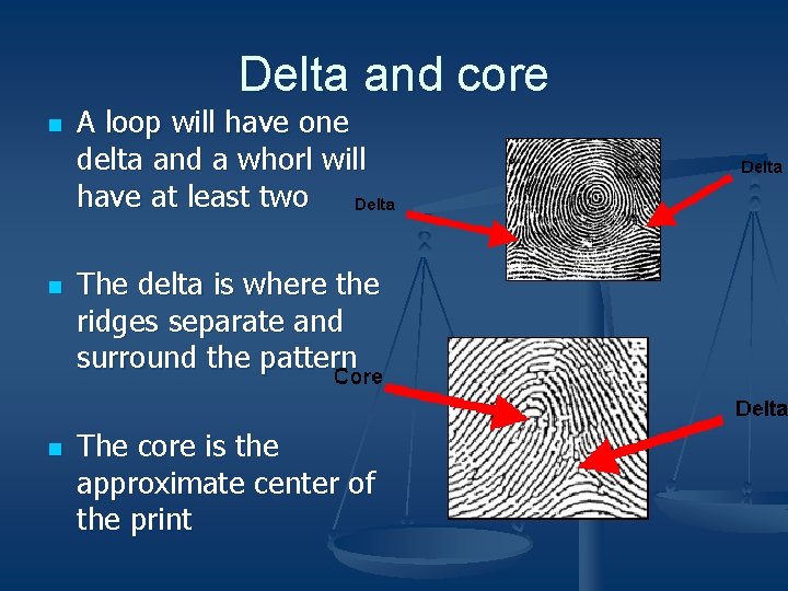 Delta and core n n n A loop will have one delta and a