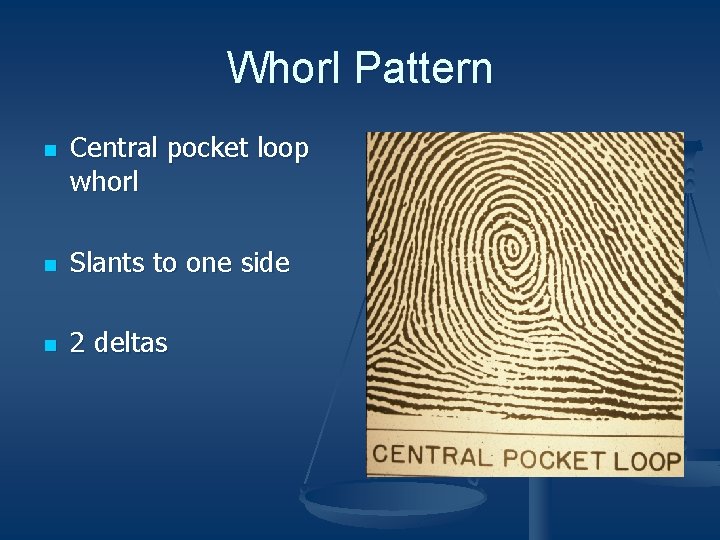 Whorl Pattern n Central pocket loop whorl n Slants to one side n 2