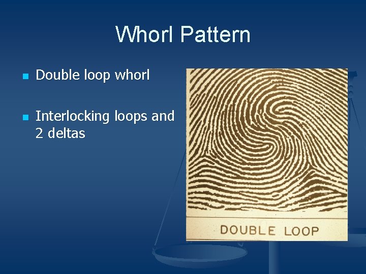 Whorl Pattern n n Double loop whorl Interlocking loops and 2 deltas 