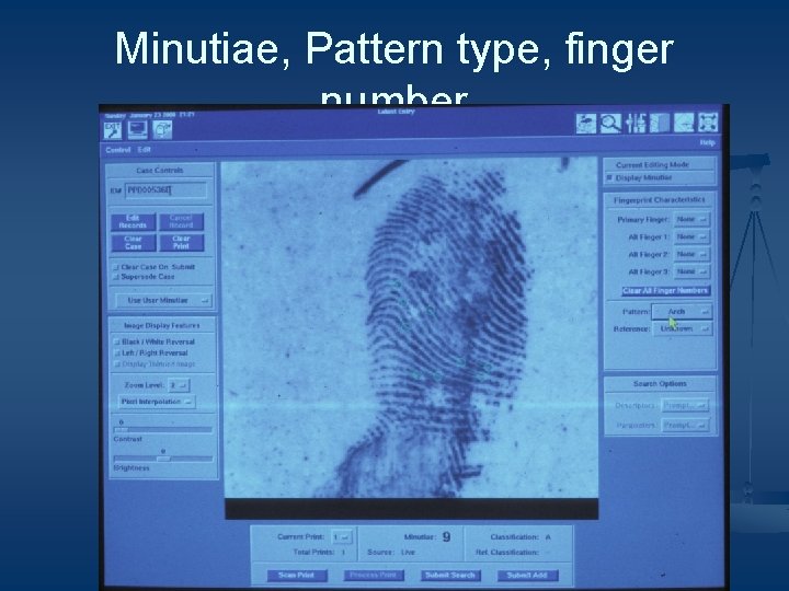 Minutiae, Pattern type, finger number 