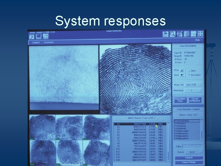 System responses 