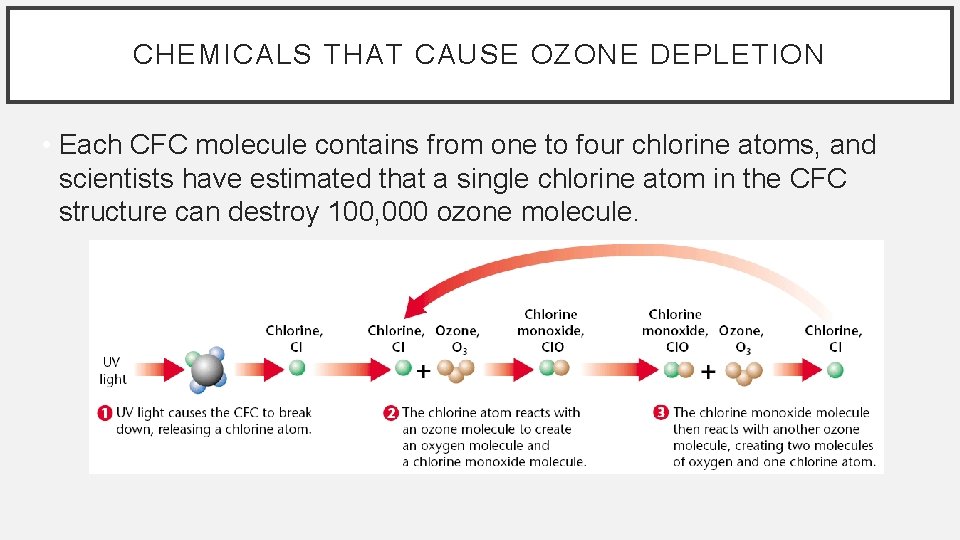 CHEMICALS THAT CAUSE OZONE DEPLETION • Each CFC molecule contains from one to four