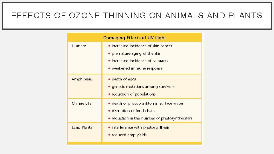 EFFECTS OF OZONE THINNING ON ANIMALS AND PLANTS 