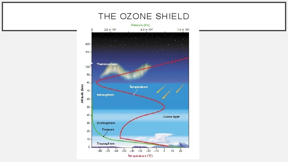 THE OZONE SHIELD 