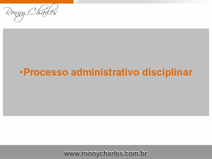  • Processo administrativo disciplinar 13 