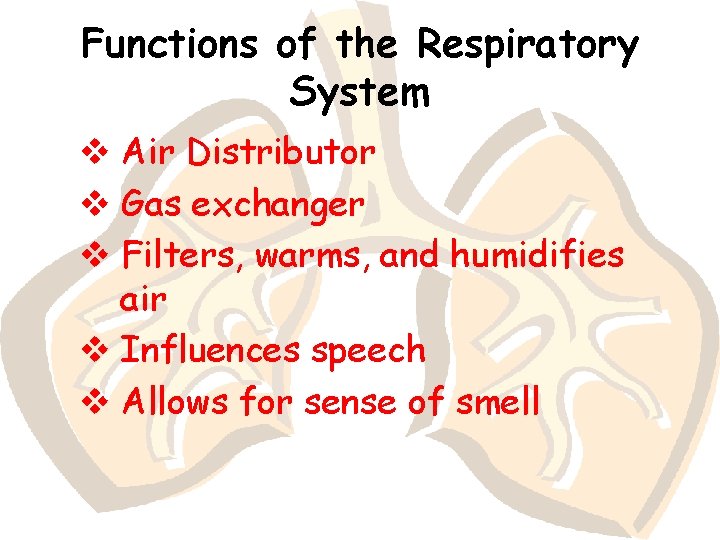 Functions of the Respiratory System v Air Distributor v Gas exchanger v Filters, warms,
