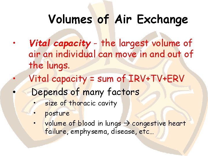 Volumes of Air Exchange • • • Vital capacity - the largest volume of
