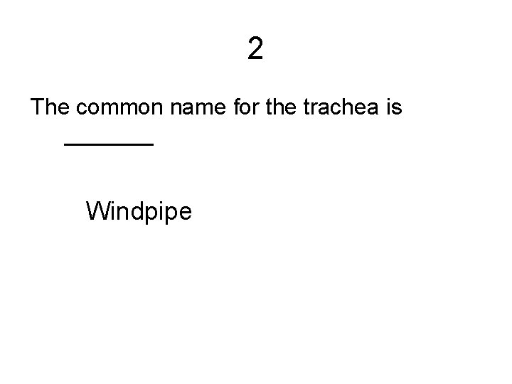 2 The common name for the trachea is _______ Windpipe 