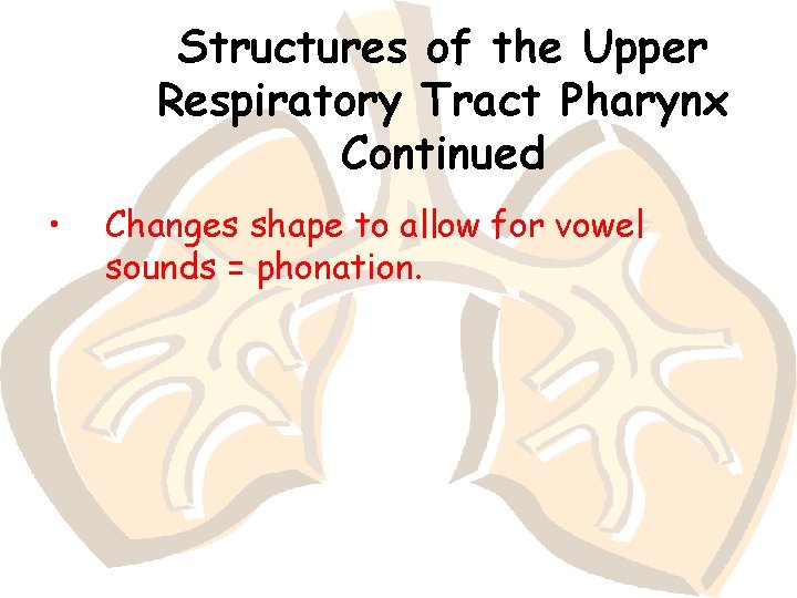 Structures of the Upper Respiratory Tract Pharynx Continued • Changes shape to allow for