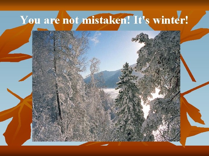 You are not mistaken! It's winter! You are not mistaken! It's winter!
