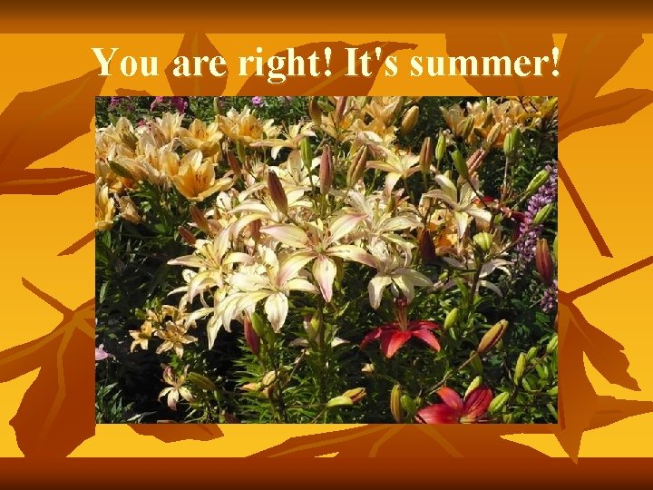 You are right! It's summer! You are right! It's summer!