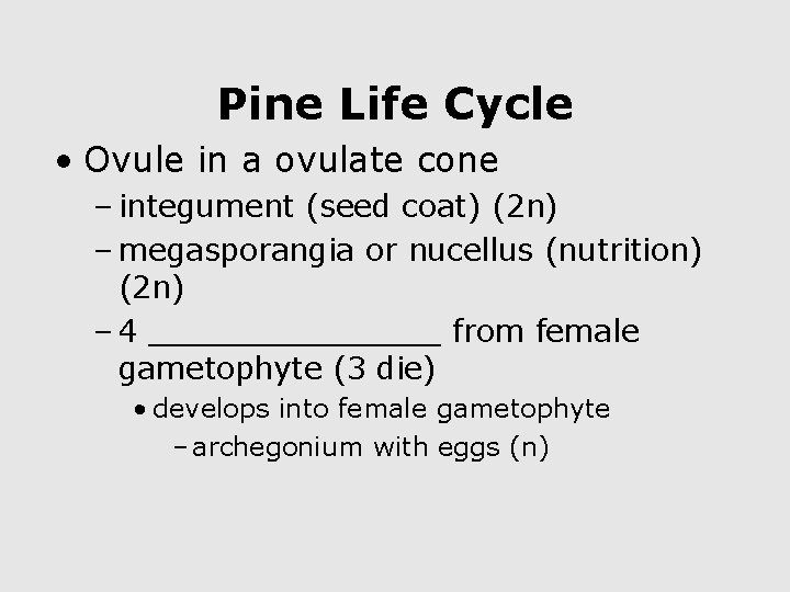 Pine Life Cycle • Ovule in a ovulate cone – integument (seed coat) (2