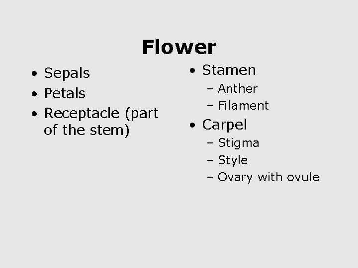 Flower • Sepals • Petals • Receptacle (part of the stem) • Stamen –