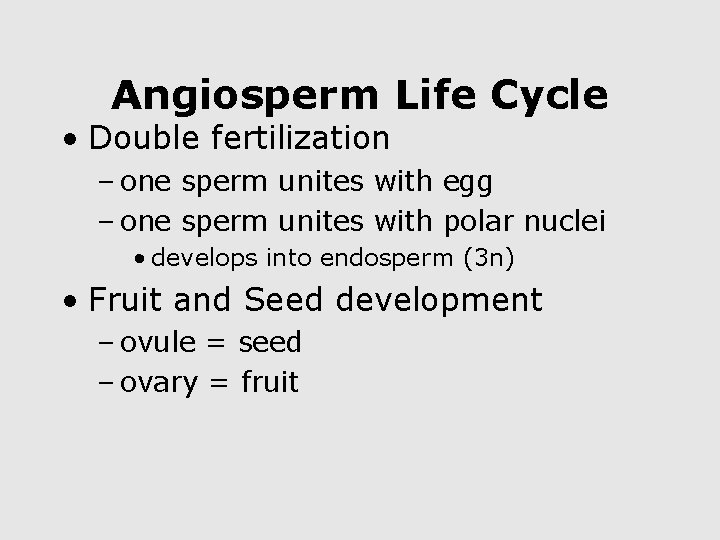 Angiosperm Life Cycle • Double fertilization – one sperm unites with egg – one