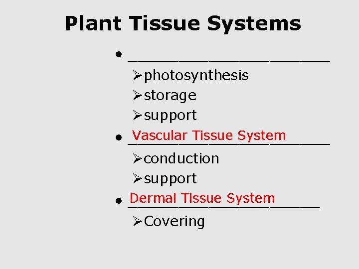 Plant Tissue Systems • __________ Øphotosynthesis Østorage Øsupport Vascular Tissue System • __________ Øconduction