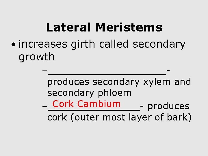 Lateral Meristems • increases girth called secondary growth –_________produces secondary xylem and secondary phloem