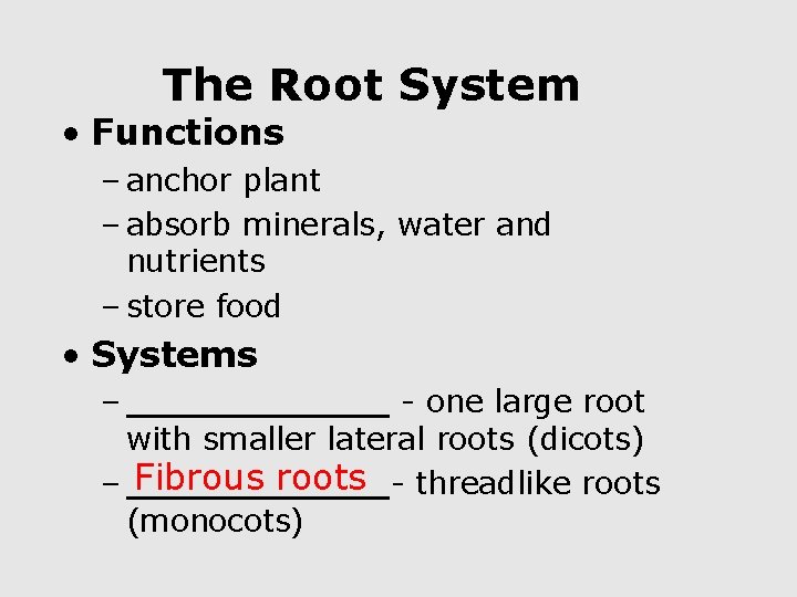 The Root System • Functions – anchor plant – absorb minerals, water and nutrients