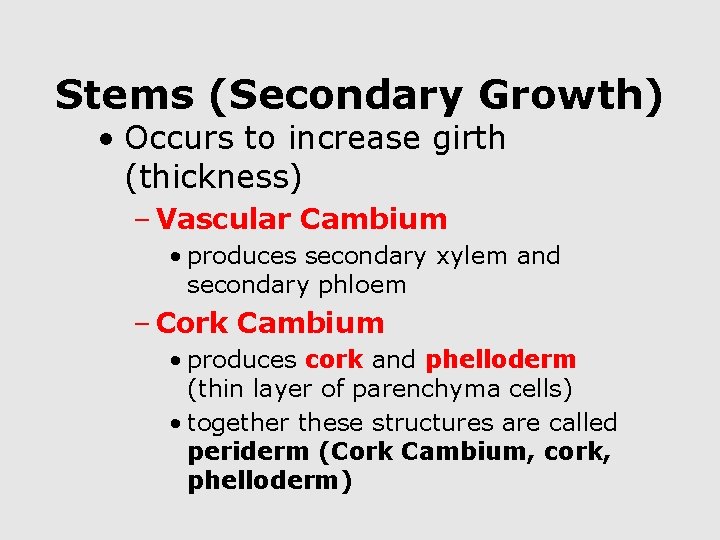 Stems (Secondary Growth) • Occurs to increase girth (thickness) – Vascular Cambium • produces