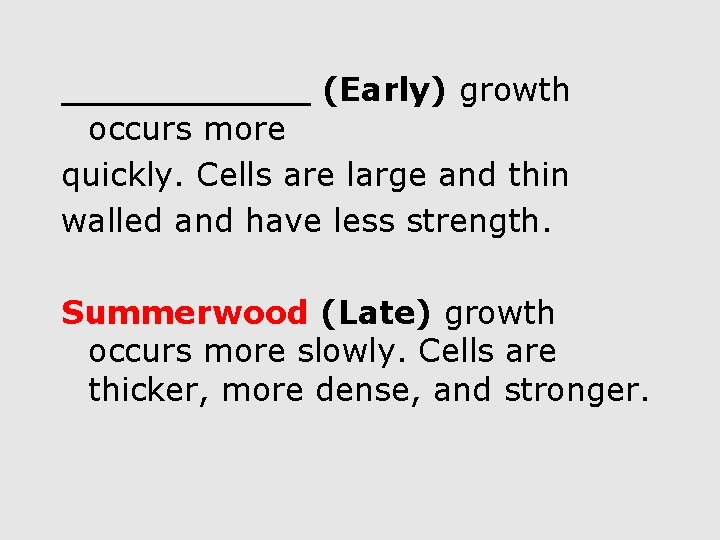 ______ (Early) growth occurs more quickly. Cells are large and thin walled and have