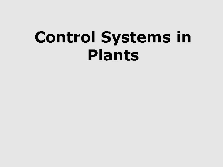 Control Systems in Plants 