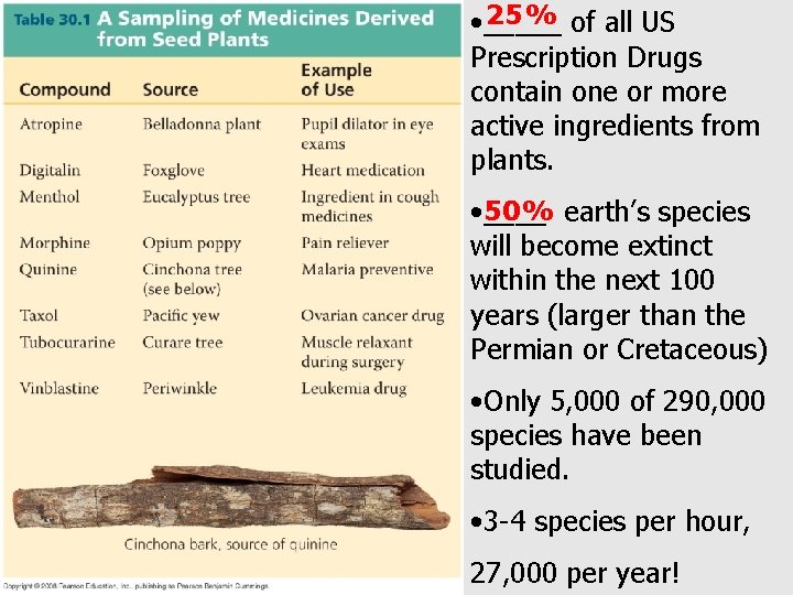 25% of all US • _____ Prescription Drugs contain one or more active ingredients