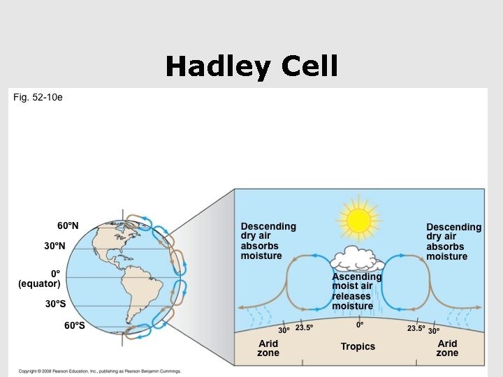 Hadley Cell 