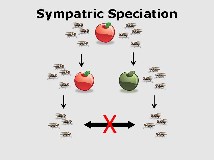 Sympatric Speciation 