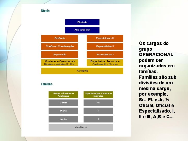 Os cargos do grupo OPERACIONAL podem ser organizados em famílias. Famílias são sub divisões Os cargos do grupo OPERACIONAL podem ser organizados em famílias. Famílias são sub divisões