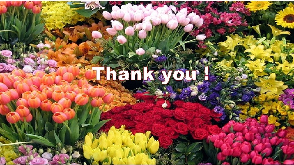 Thank you ! Thank you !