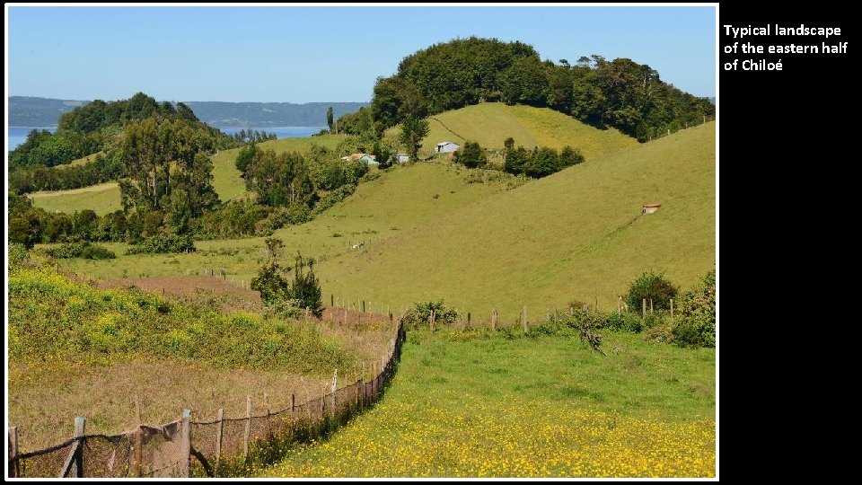 Typical landscape of the eastern half of Chiloé 