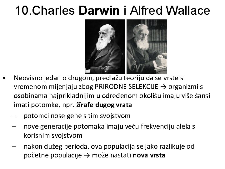 10. Charles Darwin i Alfred Wallace • Neovisno jedan o drugom, predlažu teoriju da