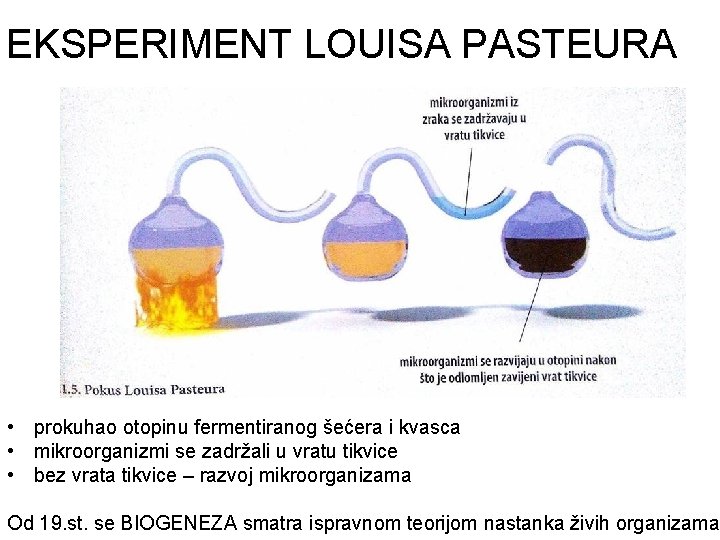 EKSPERIMENT LOUISA PASTEURA • prokuhao otopinu fermentiranog šećera i kvasca • mikroorganizmi se zadržali