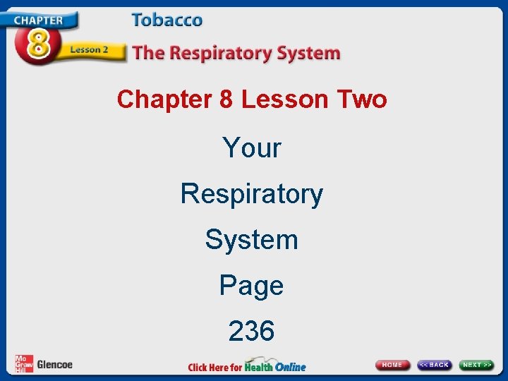 Chapter 8 Lesson Two Your Respiratory System Page 236 