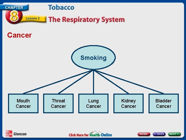 Cancer Smoking Mouth Cancer Throat Cancer Lung Cancer Kidney Cancer Bladder Cancer 