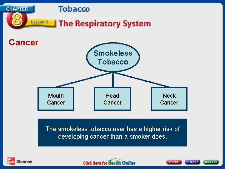 Cancer Smokeless Tobacco Mouth Cancer Head Cancer Neck Cancer The smokeless tobacco user has