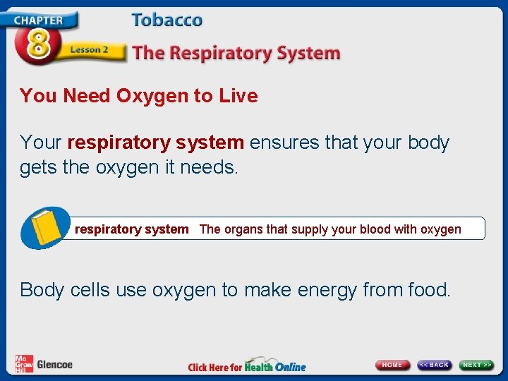 You Need Oxygen to Live Your respiratory system ensures that your body gets the