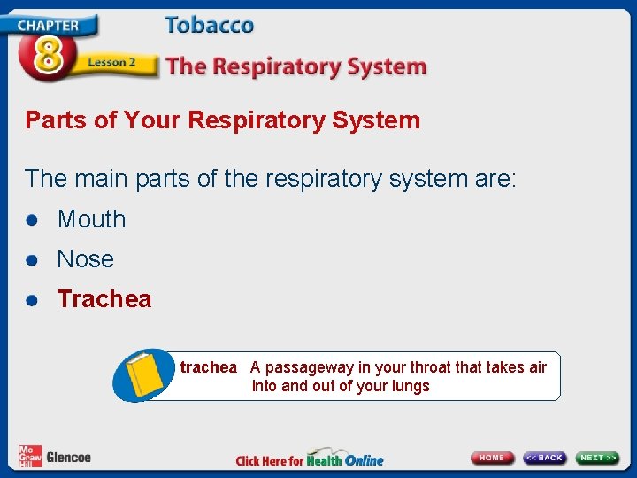 Parts of Your Respiratory System The main parts of the respiratory system are: Mouth