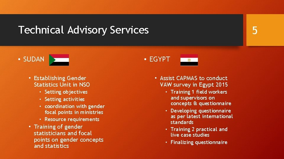 Technical Advisory Services • SUDAN • Establishing Gender Statistics Unit in NSO • Setting