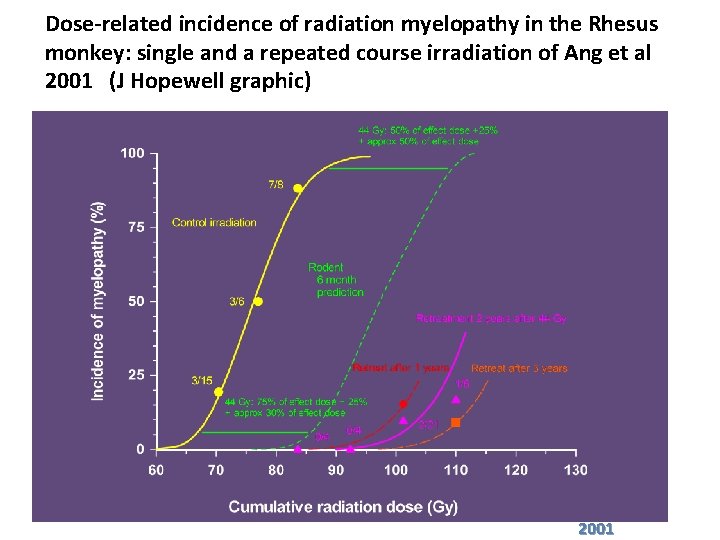 Dose-related incidence of radiation myelopathy in the Rhesus monkey: single and a repeated course
