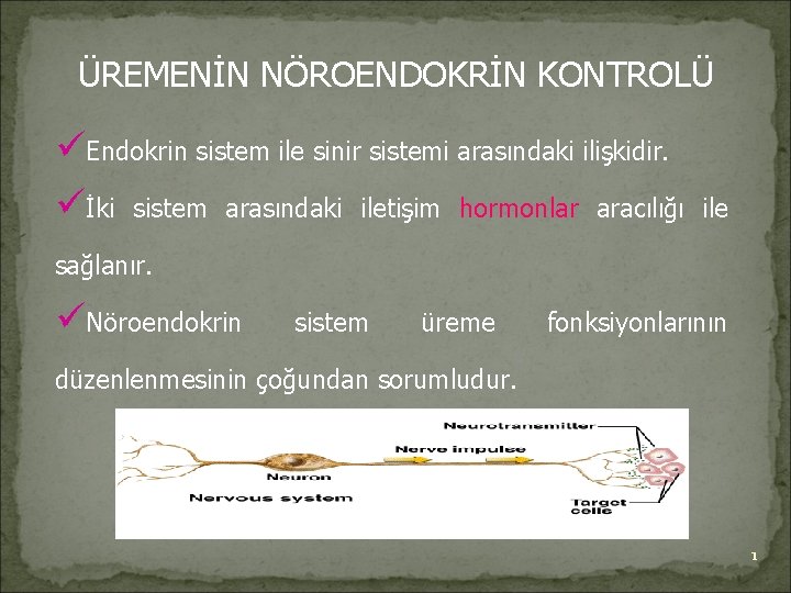 ÜREMENİN NÖROENDOKRİN KONTROLÜ üEndokrin sistem ile sinir sistemi arasındaki ilişkidir. üİki sistem arasındaki iletişim