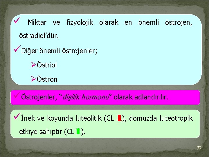 ü Miktar ve fizyolojik olarak en önemli östrojen, östradiol’dür. üDiğer önemli östrojenler; ØÖstriol ØÖstron