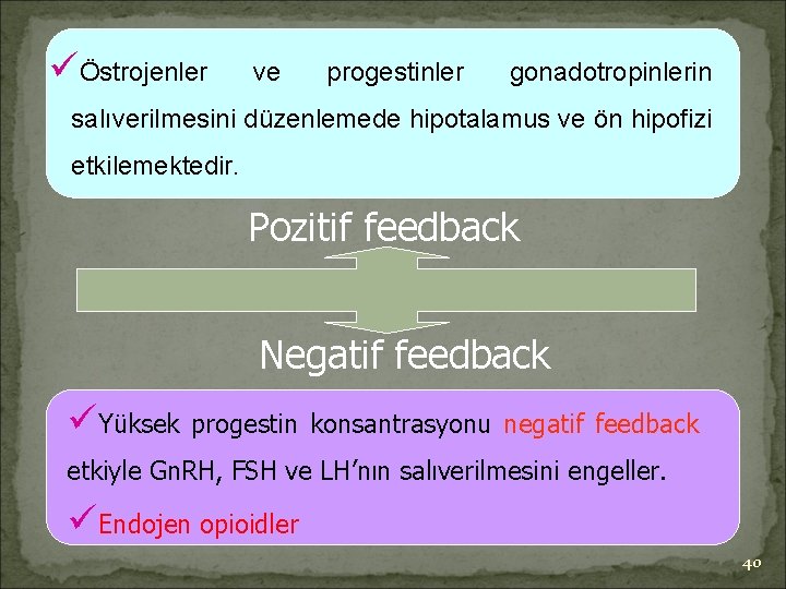 üÖstrojenler ve progestinler gonadotropinlerin salıverilmesini düzenlemede hipotalamus ve ön hipofizi etkilemektedir. Pozitif feedback Negatif