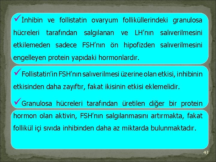 üİnhibin ve follistatin ovaryum folliküllerindeki granulosa hücreleri tarafından salgılanan ve LH’nın salıverilmesini etkilemeden sadece